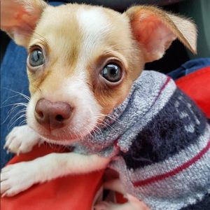 Love ❤️ my little boy